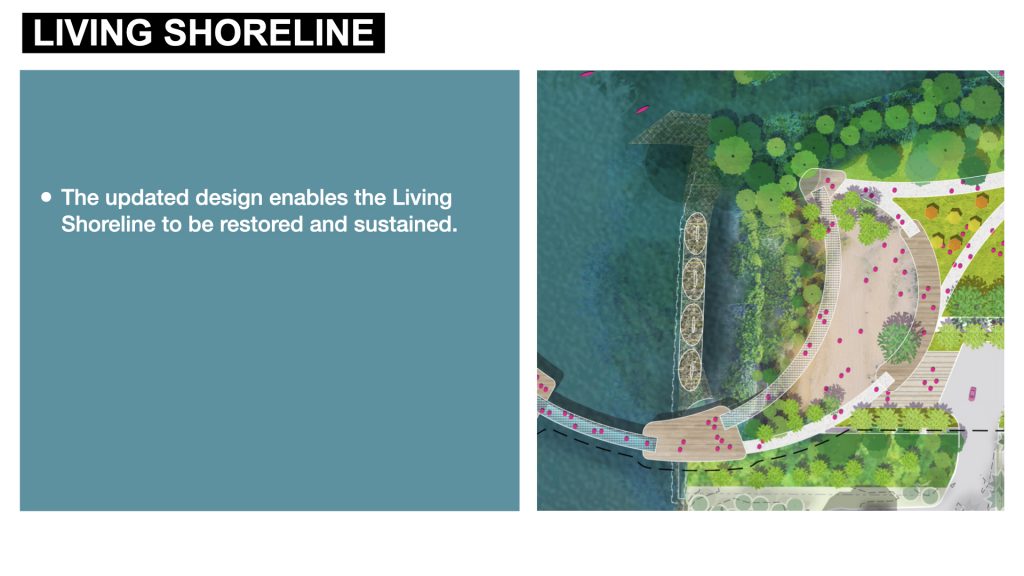 The updated design enables the Living Shoreline to be restored and sustained.
