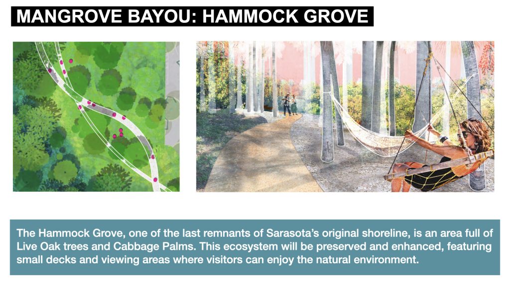 The Hammock Grove, one of the last remnants of Sarasota’s original shoreline, is an area full of Live Oak trees and Cabbage Palms. This ecosystem will be preserved and enhanced, featuring  small decks and viewing areas where visitors can enjoy the natural environment.