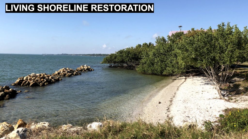 Living Shoreline Restoration