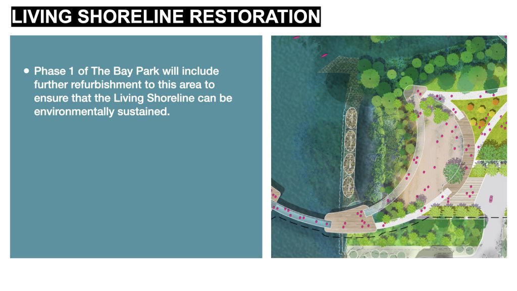 Phase 1 of The Bay Park will include further refurbishment to this area to ensure that the Living Shoreline can be environmentally sustained.
