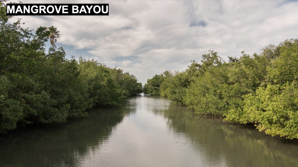 Mangrove Bayou